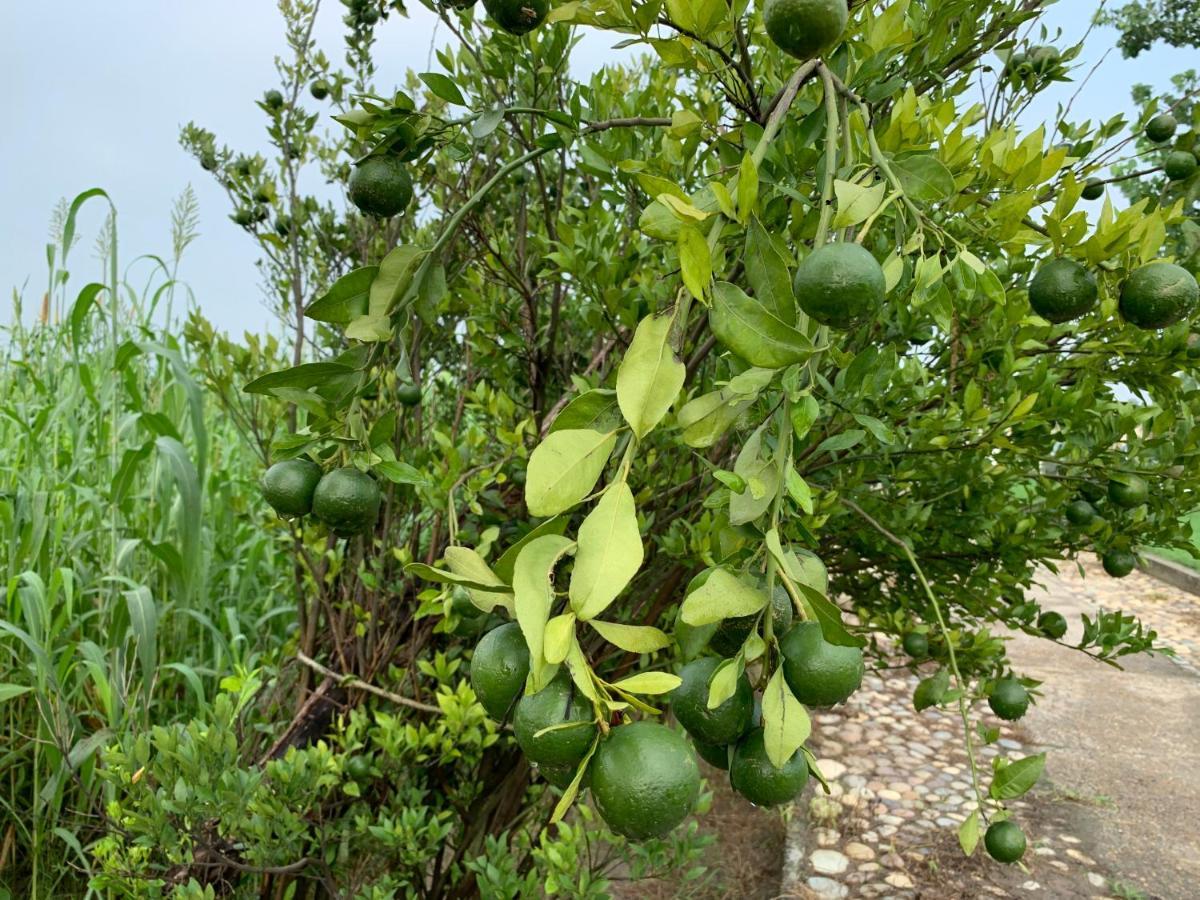 Anand At The Satluj Ξενοδοχείο Anandpur Sāhib Εξωτερικό φωτογραφία
